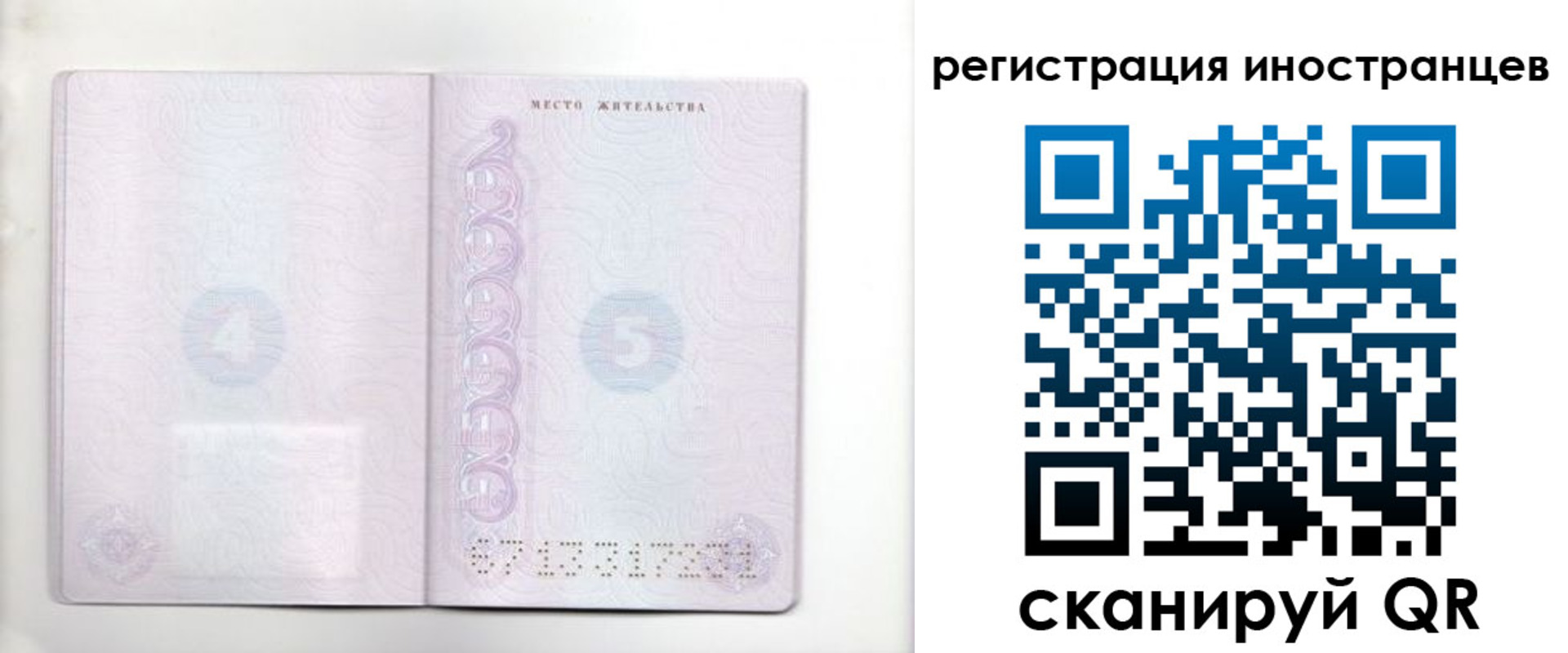 временная регистрация в Ельне